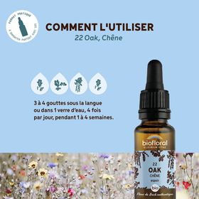 BIOFLORAL 22 - Oak - Chêne - 20 ml
