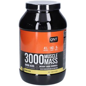 QNT 3000 Muscle Mass Banane