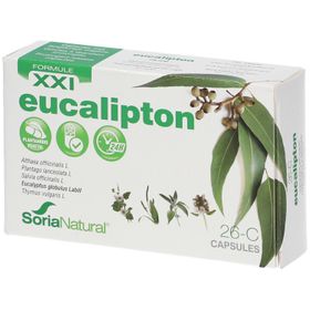 Soria Natural® 26-C Eucalipton XXI