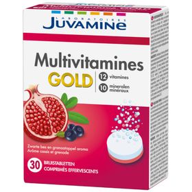 JUVAMINE Multivitamines Gold