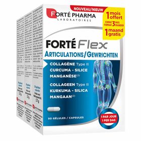 Forté Pharma Forté Flex Articulations
