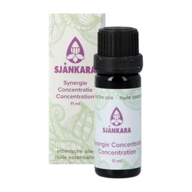 Shankara Concentration Synergie