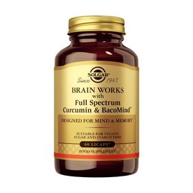 SOLGAR Brain Works