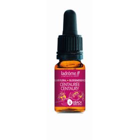 Ladrôme Centaurée N°4