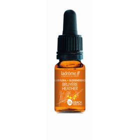 Ladrôme Bruyère N°14