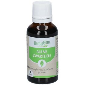 HERBALGEM - Aulne Bio - Complément Alimentaire  - Extrait De Bourgeon Frais - Pour Défenses Naturelles & Circulation -  - 30 ml