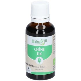 HerbalGem CHÊNE