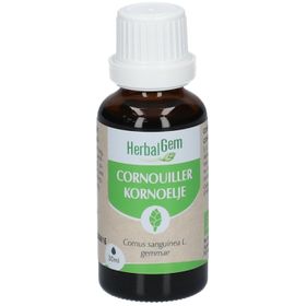 HerbalGem CORNOUILLER