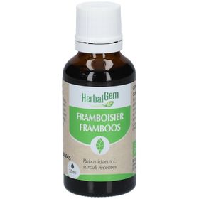 HERBALGEM - Framboisier Bio - Complément Alimentaire  - Extrait De Bourgeon Frais - Pour Santé Féminine - 30 ml