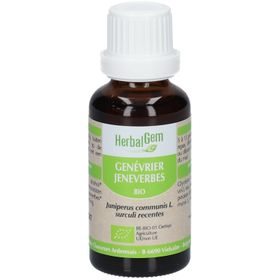 HerbalGem GENÉVRIER