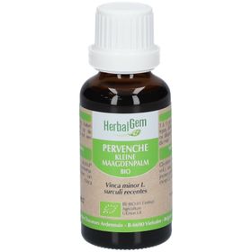 HERBALGEM - Pervenche Bio - Complément Alimentaire  - Extrait De Bourgeon Frais - Pour Mémoire & Concentration -  - 30 ml