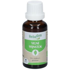 HERBALGEM - Vigne Bio - Complément Alimentaire  - Extrait De Bourgeon Frais - Sante circulatoir, drainage, antioxidant, sante peau -  - 30 ml