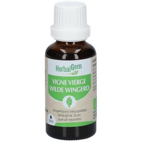 HERBALGEM - Vigne Vierge Bio - Complément Alimentaire  - Extrait De Bourgeon Frais - Pour Circulation, Antioxidant, Santé de la peau et cardiovasculaire -  - 30 ml
