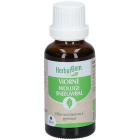 HERBALGEM - Viorne Bio - Complément Alimentaire  - Extrait De Bourgeon Frais - Pour Voies Respiratoires -  - 30 ml