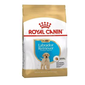 Royal Canin® Labrador Retriever Puppy