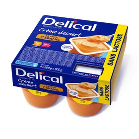 Delical Crème dessert sans lactose Caramel
