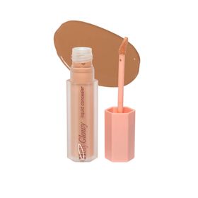 Cent Pur Cent Holy Glowy Concealer 2.5