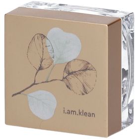 i.am.klean Loose Mineral Eyeshadow Tuned in