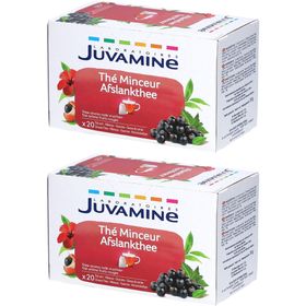 JUVAMINE Thé Minceur Fruits rouges Bio