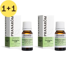 PRANARÔM - Eucalyptus Radié - Huile Essentielle Chémotypée - Voies Respiratoires & Immunité - 100 % Pure Et Naturelle - HECT - 10 ml