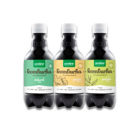 Purasana Pack Découverte Boisson Kombucha au Goût Gingembre, Nature et Matcha