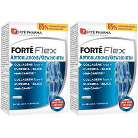 Forté Pharma Forté Flex Articulations