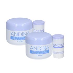Andina Crème de Décoloration x2