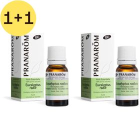 Pranarôm Eucalyptus Radié Huile Essentielle Bio