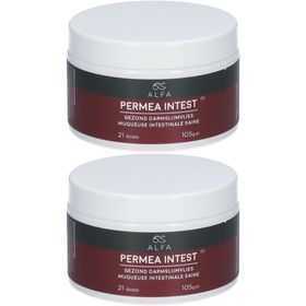 Alfa Permea Intest Muqueuse Intestinale Saine