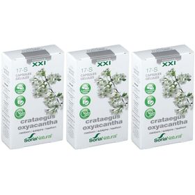 Soria Natural® 17-S Crataegus oxyacantha XXI Aubépine blanche