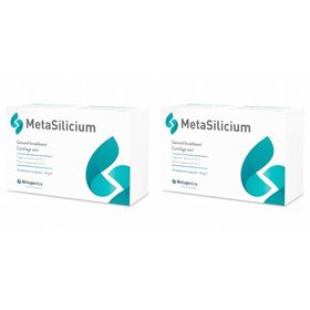 MetaSilicon®