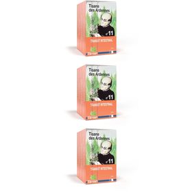 Tilman Tisane des Ardennes N°11 Transit Intestinal