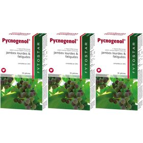 Fytostar Pycnogenol ok NLFR x3