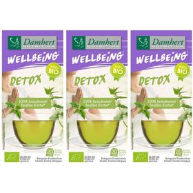 Damhert Wellbeing Infusion aux feuilles d'ortie