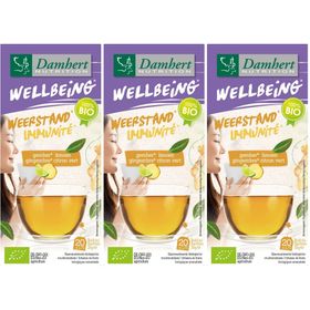 Damhert Wellbeing Thé Gingembre Citron vert BIO