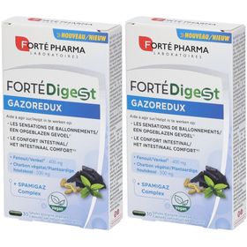 Forté Digest Gazoredux Confort Intestinal