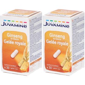 Juvamine Gelée Royale Ginseng de Sibérie
