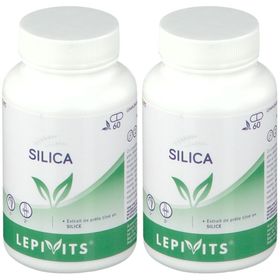 LEPIVITS® Silica