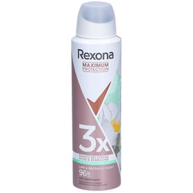 Rexona® Women Anti-Transpirant Max Déodorant en spay Maximum Protection 96 H Lime & Waterlily
