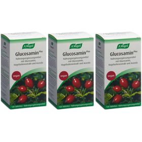 A.Vogel Glucosamine Plus