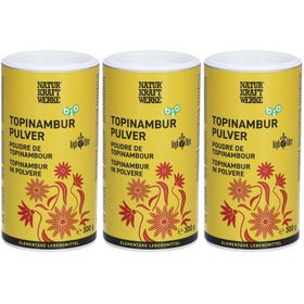 NATURKRAFTWERKE Poudre de topinambour bio