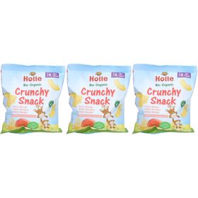 HOLLE Kids Crunchy Snack Millet-Mangue bio