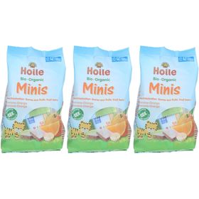 HOLLE Minis Barres aux fruits Banane-Orange bio