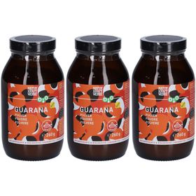 NATURKRAFTWERKE Poudre de Guarana bio