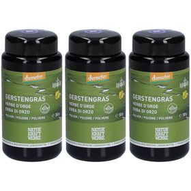 NATURKRAFTWERKE Herbe d'orge Poudre