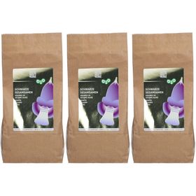 NATURKRAFTWERKE Graines de sésame noir bio