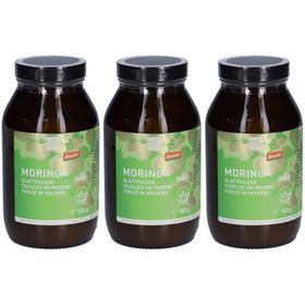 NATURKRAFTWERKE Poudre de feuilles de Moringa Demeter