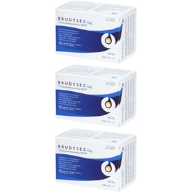 BrudyLab BrudySec