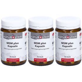 NATURSTEIN MSM plus