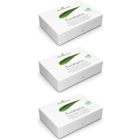 PHYTOPHARMA Pastilles d'eucalyptus